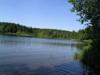 Waldsee